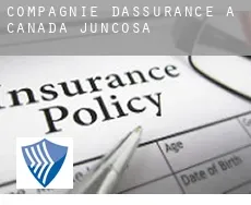 Compagnie d'assurance à  Cañada Juncosa