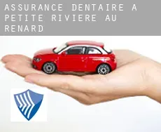 Assurance dentaire à Petite-Rivière-au-Renard