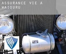 Assurance vie à Waiouru