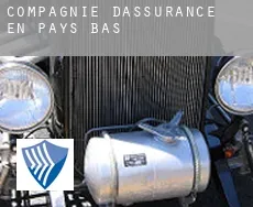 Compagnie d'assurance en  Pays-Bas