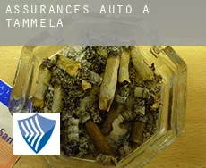 Assurances auto à Tammela