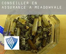 Conseiller en assurance à Meadowvale