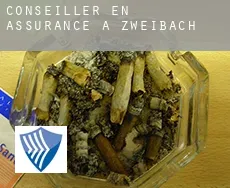 Conseiller en assurance à  Zweibach