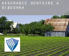 Assurance dentaire à Biboohra
