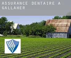 Assurance dentaire à  Gallaher
