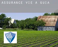 Assurance vie à Guia