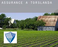 Assurance à Torslanda