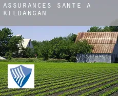 Assurances santé à Kildangan