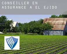 Conseiller en assurance à El Ejido