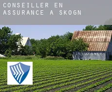 Conseiller en assurance à Skogn
