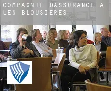 Compagnie d'assurance à  Les Blousières