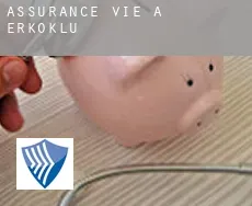 Assurance vie à Erköklü