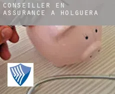 Conseiller en assurance à Holguera