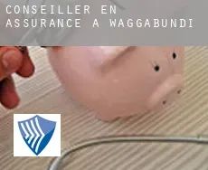 Conseiller en assurance à Waggabundi