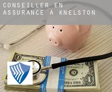 Conseiller en assurance à Knelston