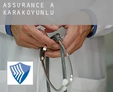 Assurance à Karakoyunlu