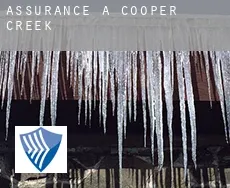 Assurance à  Cooper Creek