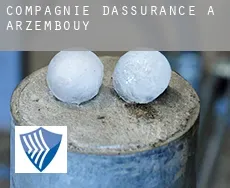 Compagnie d'assurance à Arzembouy