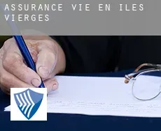 Assurance vie en  Îles Vierges