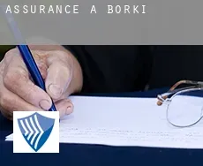 Assurance à  Borki