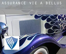Assurance vie à  Bellús