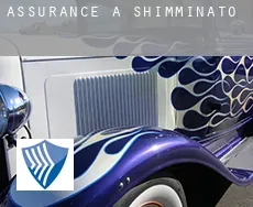 Assurance à Shimminato