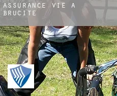 Assurance vie à  Brucite