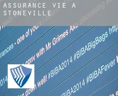 Assurance vie à Stoneville