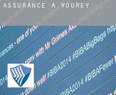 Assurance à Vourey
