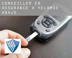 Conseiller en assurance à Yélamos de Abajo
