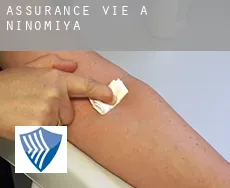 Assurance vie à Ninomiya