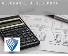 Assurance à  Hedemora Municipality