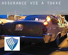 Assurance vie à  Tokke
