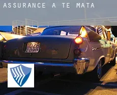 Assurance à Te Mata