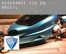 Assurance vie en  Brésil