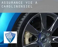 Assurance vie à Carolinensiel