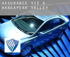 Assurance vie à  Wangapeka Valley