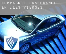 Compagnie d'assurance en  Îles Vierges