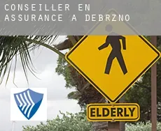 Conseiller en assurance à Debrzno
