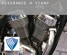 Assurance à Viano