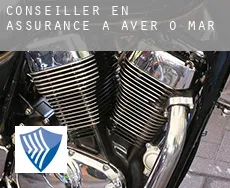 Conseiller en assurance à Aver-o-Mar