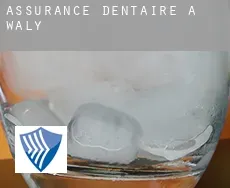 Assurance dentaire à Waly