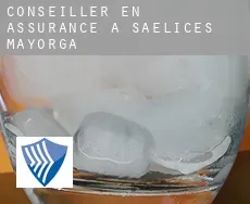 Conseiller en assurance à  Saelices de Mayorga