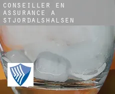 Conseiller en assurance à Stjørdalshalsen