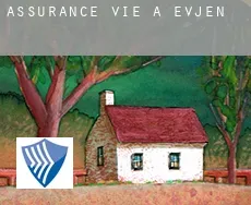 Assurance vie à Evjen