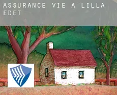 Assurance vie à  Lilla Edet
