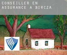 Conseiller en assurance à  Bircza