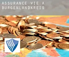 Assurance vie à Burgenlandkreis