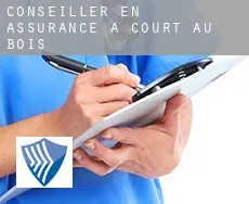 Conseiller en assurance à  Court au Bois