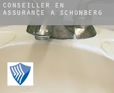 Conseiller en assurance à  Schönberg